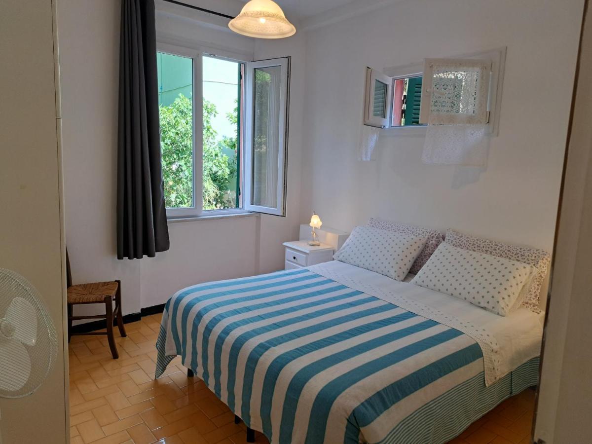 Monterosso 81